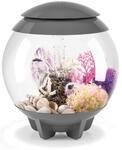 biOrb Halo 15 MCR grau - Tabletop Aquarium, f&uuml;r unz&auml;hlge Designm&ouml;glichkeiten,