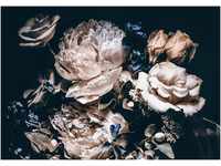 Forwall Fototapete Blumen Vintage 3D Pfingstrosen Schwarz Rosen Dunkel Modern