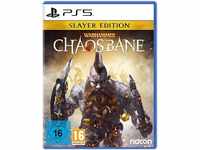 Electronic Arts Warhammer Chaosbane Slayer Edition