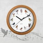 EASYmaxx Wanduhr mit 12 Singvogelgesang mit naturgetreuen Vogelmotiven | Automatische