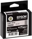 Epson C13T46S900 Tinte hell grau 25 ml