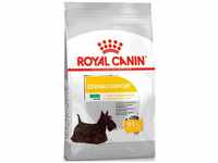 ROYAL CANIN Mini Dermacomfort - Dry Food for Adult small Breeds of Dogs with