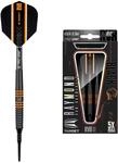 Target Darts Raymond van Barneveld RVB 80 Schwarzes 20G 80% Wolfram Softdarts-Set