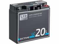 ECTIVE LC20 LiFePo4 Batterie - 12V, 20Ah, BMS, wiederaufladbar, wartungsfrei -...