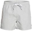 Quiksilver Everyday 15" - Schwimmshorts f&uuml;r M&auml;nner , Grau , XXL