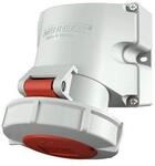 Wanddose 32A5p6h400V, IP67 9182