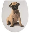 ADOB, Design WC Sitz Klobrille Klodeckel Mops Absenkautomatik, abnehmbar zur