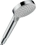 hansgrohe Vernis Blend - wassersparender Duschkopf 5 l/min (EcoSmart), Handbrause mit