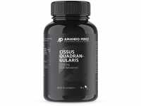 Cissus Quadrangularis Extrakt 2500 mg • 90 vegane Kapseln • Liefert 20%