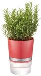Kr&auml;utertopf BOTANICO Rot GEFU