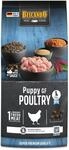 BELCANDO Puppy GF Poultry [1 kg] getreidefreies Welpenfutter | Welpenfutter ohne