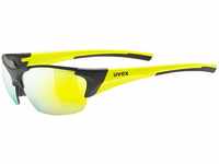 uvex Unisex – Erwachsene, blaze III Sportbrille, inkl. Wechselscheiben, black matt
