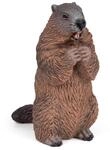 Papo - Realistische Murmeltier-Figur - 3 Jahre + - Kollektion Wilde Tiere - Lernspiel
