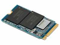OWC Wave - SSD 1TB 2.7/1.0 Aura P13 M.2 komatibel mit PCs und Accelsior 1M2