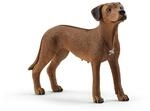 SCHLEICH 13895 Rhodesian Ridgeback, f&uuml;r Kinder ab 3+ Jahren, Farm World - Spielfigur