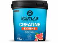 Bodylab24 Creatine Extreme Powder Wassermelone 500g, Kreatin-Pulver für...
