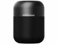 Tronsmart Element T6 Max Bluetooth Lautsprecher, schwarzes