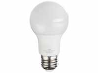 Globo LED Leuchtmittel Glühbirne Ersatz-Leuchte E27 9 Watt Lampe 10600