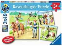 Ravensburger Kinderpuzzle - 05129 Ein Tag auf dem Reiterhof - 3x49 Teile Wieso?