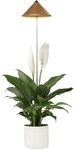 Parus by Venso SUNLiTE 7W LED Vollspektrum Pflanzenlampe kupfer, Indoor Plants