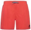 Protest Jungen Badeshorts Culture JR 176