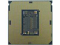 Intel® Celeron® G5905 2 x Prozessor (CPU) Tray Sockel (PC) 1200 58W