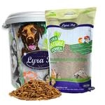 Lyra Pet&reg; | 5 kg Soldatenfliegenlarven + 30 L Tonne | Black Soldier Fly | Hermetia