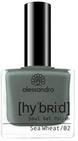 Alessandro Hybrid Lack Sea Wheat