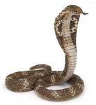 Papo -Handbemalt - Figuren -Wildtiere Der Welt-K&ouml;nigskobra-50164-Sammelbar-F&uuml;r