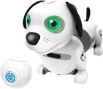 JUNIOR ROBO DACKEL