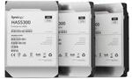 Synology 3,5" SAS HDD 16TB - HAS5300-16T, Silber