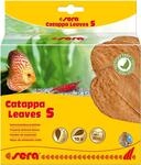 sera Catappa Leaves S 10-15 cm (10St) - Seemandelbaumbl&auml;tter f&uuml;r die nat&uuml;rliche