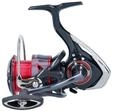 Daiwa 20' Fuego LT 4000-CP Rolle