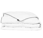 vidaXL Daunendecke Winter 150x200cm Bettdecke Steppdecke Decke Daunenbett