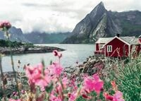 Ravensburger Puzzle Scandinavian Places 16740 - Reine, Lofoten, Norwegen - 1000...