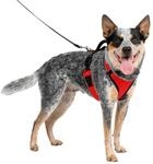 PetSafe EasySport Hundegeschirr - Strapazierf&auml;higes, gepolstertes Material,