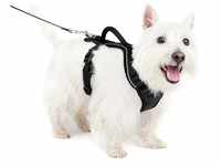 PetSafe EasySport Hundegeschirr, Komplett gepolstert mit elastischem Halsteil, Für