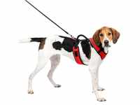 PetSafe EasySport Hundegeschirr, Komplett gepolstert mit elastischem Halsteil, Für