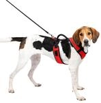 PetSafe EasySport Hundegeschirr - Strapazierf&auml;higes, gepolstertes Material,