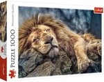 Trefl, Puzzle, Katzentreffen, 1000 Teile, Premium Quality, f&uuml;r Erwachsene und Kinder
