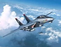 Revell 03960, Revell Grumman F-14D Super Tomcat Grau