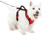 PetSafe EasySport Hundegeschirr - Strapazierf&auml;higes, gepolstertes Material,