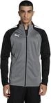 PUMA Herren Teamcup Training Jacke, Rauchfarben, Perle, PU, S EU