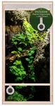 Terrarium hoch mit Frontbel&uuml;ftung 60x120x60 cm