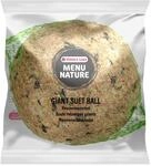 Riesenmeisenkn&ouml;del 36St Im Fenster