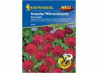 Kiepenkerl 4154 Knautie/Witwenblumen Red Knight (Witwenblumensamen)
