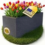 Ondis24 Pflanzk&uuml;bel Vulkan, 57L Pflanzvolumen, rechteckig, Blumenkasten mit