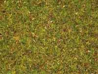 Streugras Blumenwiese 2,5 mm