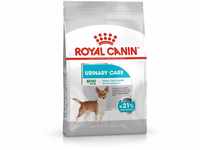 ROYAL CANIN Mini Urinary Care - 1 kg
