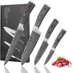 Wakoli EDIS 4-teiliges K&uuml;chenmesser Set aus Damaststahl (VG10 Kern) in edler